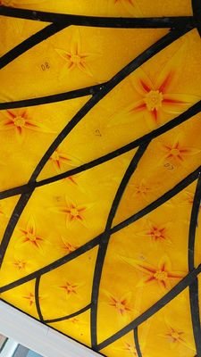 Plafond Oranje Scratchproof 12mm Gekleurde Glascomités