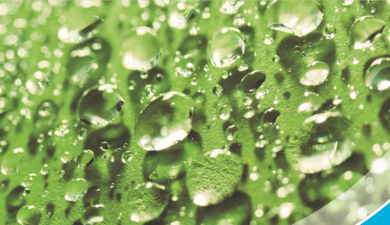 2mm Zelfreinigend Glas