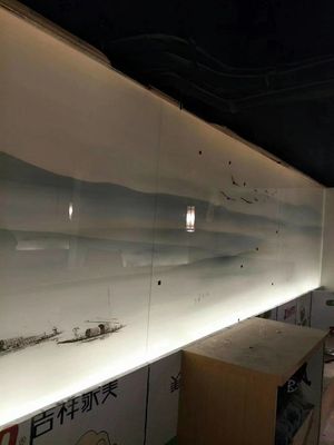 De beschermende Gekleurde 2440X1830mm Decoratieve Verdelers van de Glasmuur