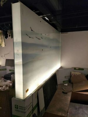 De beschermende Gekleurde 2440X1830mm Decoratieve Verdelers van de Glasmuur