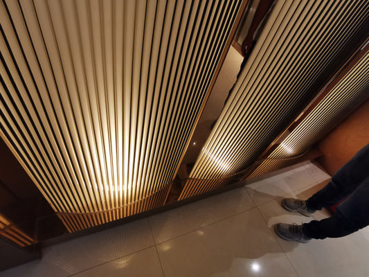 Cabine 3 het Dimensionale Backlit Decoratieve Gesmolten Glas van 1sqm