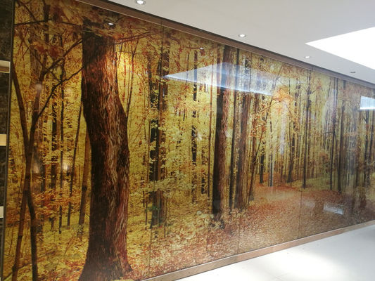 Duidelijke 12mm Decoratieve Gesmolten Glas van de het schermverdeling het ultra